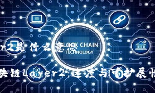 区块链Layer2是什么意思

深入探讨区块链Layer2：速度与可扩展性的解决方案