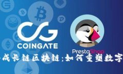 深入揭秘成长链区块链：如何重塑数字经济未来
