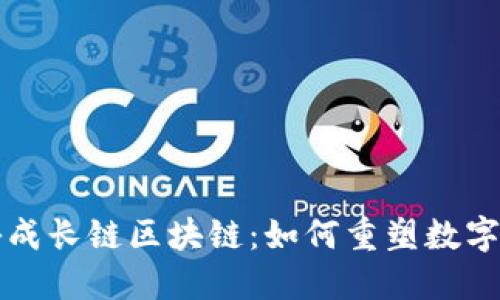 深入揭秘成长链区块链：如何重塑数字经济未来