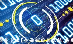 火爆的区块链是什么？全面剖析其现状、应用与