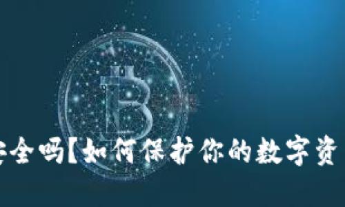  TP钱包安全吗？如何保护你的数字资产不被盗？