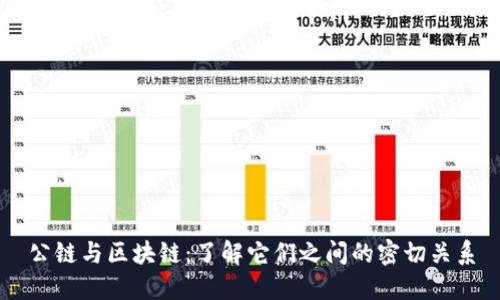 公链与区块链：了解它们之间的密切关系