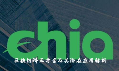 区块链矫正方案及其潜在应用解析