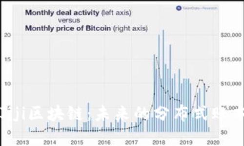 深入探索Jiji区块链：未来的分布式账本技术解析