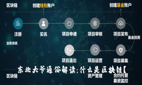 东北大爷通俗解读：什么是区块链？