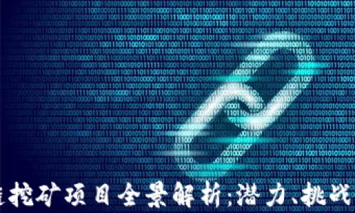 
中国区块链挖矿项目全景解析：潜力、挑战与未来发展