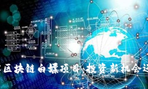 深入了解区块链白嫖项目：投资新机会还是骗局？